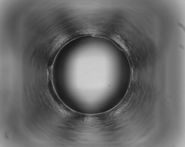 X0000098050109200804071517