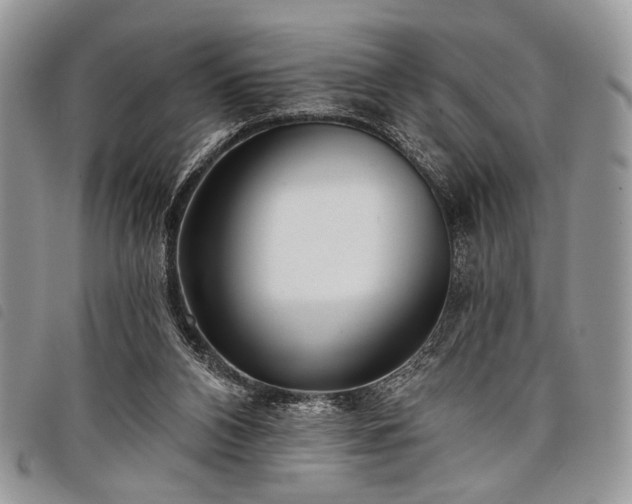 X0000098050112200804071517