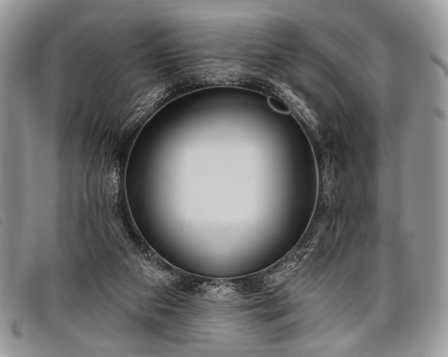 X0000098050113200804071517