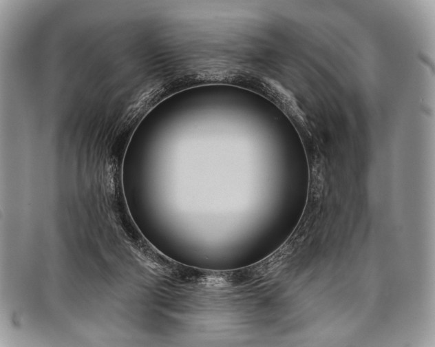 X0000098050114200804071517