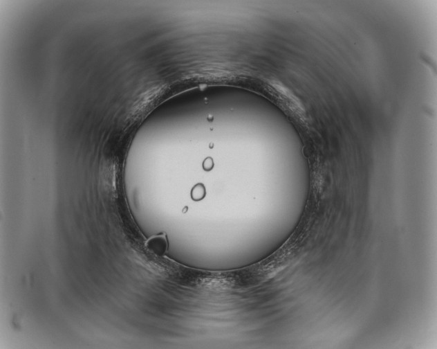 X0000098050115200804071517