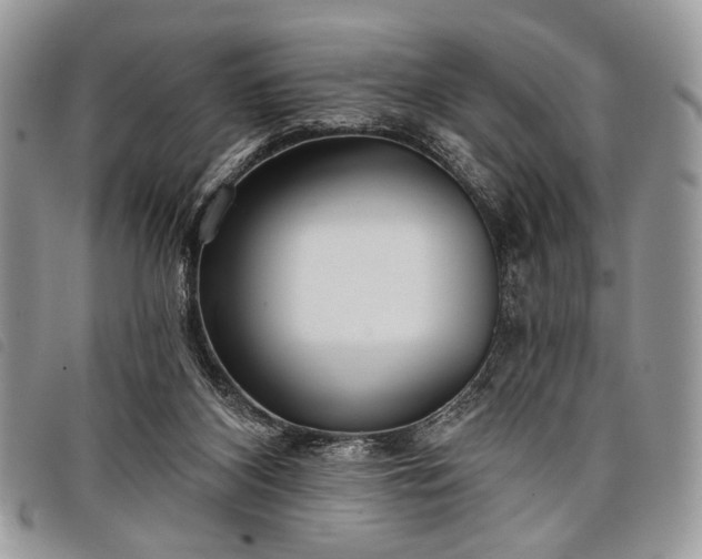 X0000098050116200804071517