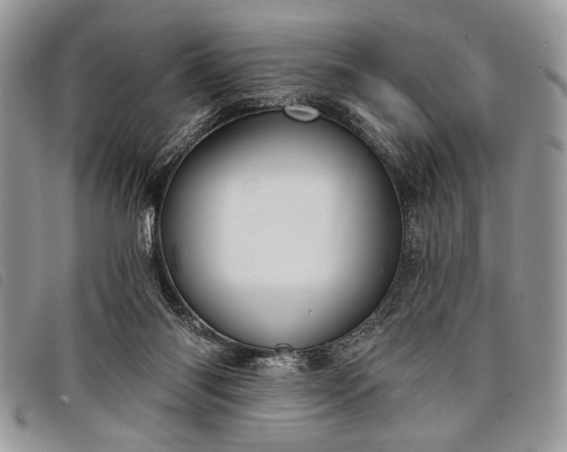 X0000098050118200804071517