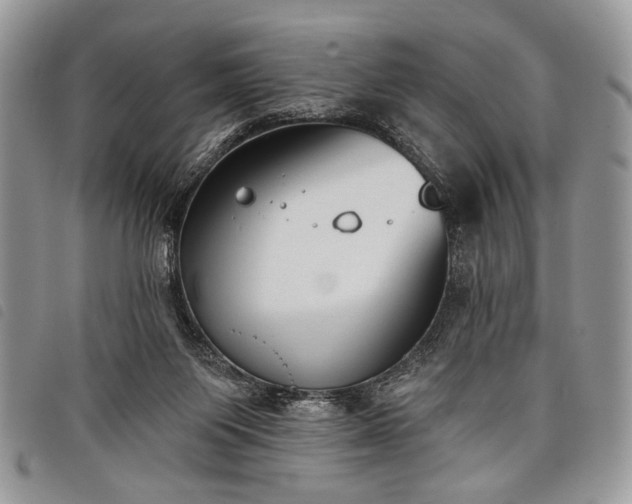 X0000098050119200804071517