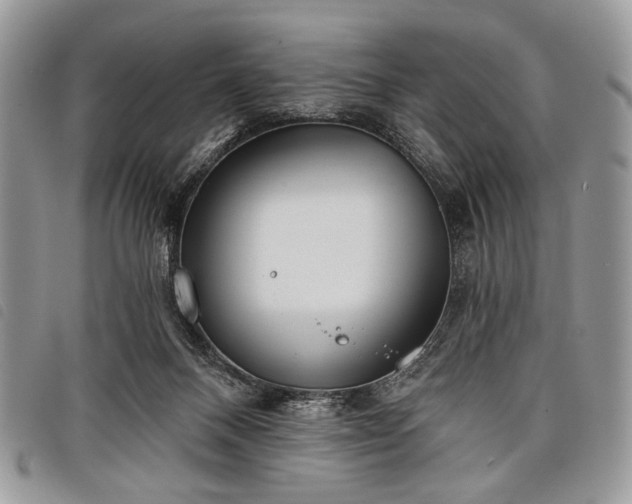 X0000098050120200804071517