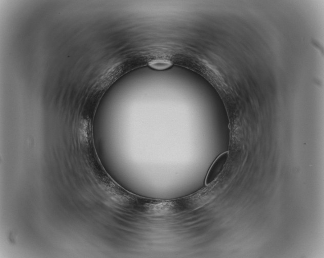 X0000098050122200804071517