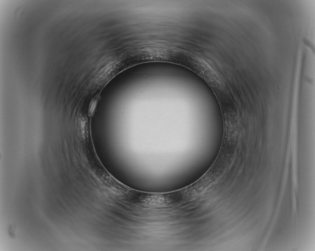 X0000098050123200804071517