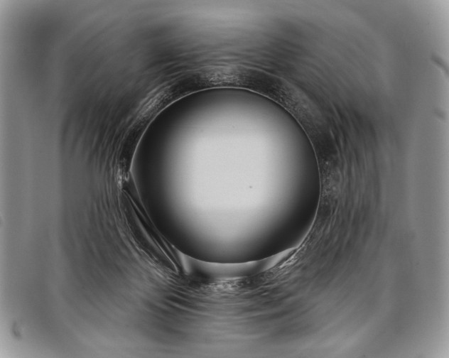 X0000098050124200804071517