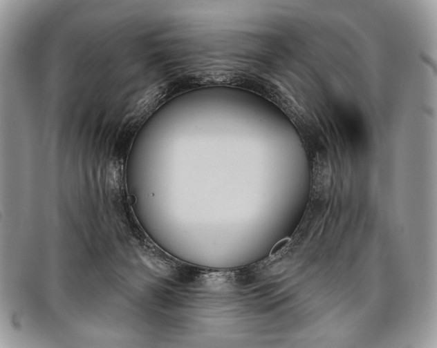 X0000098050126200804071517