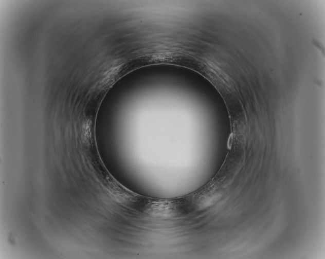 X0000098050127200804071517