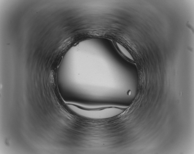 X0000098050128200804071517