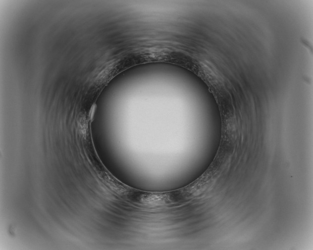 X0000098050129200804071517