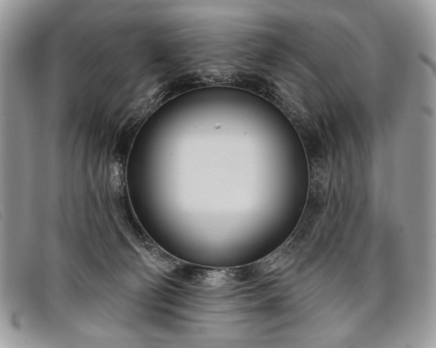 X0000098050130200804071517