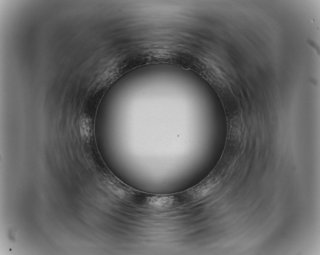 X0000098050135200804071517