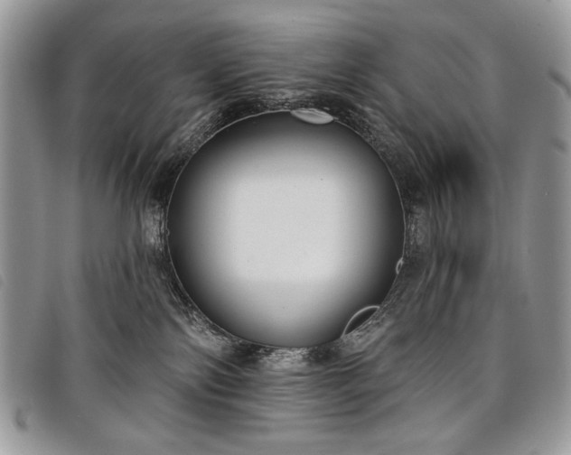 X0000098050138200804071517