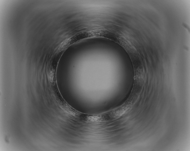 X0000098050139200804071517