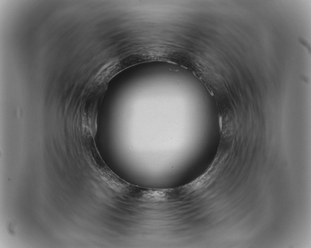 X0000098050140200804071517