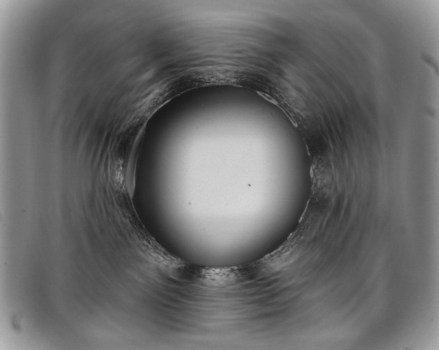 X0000098050141200804071517