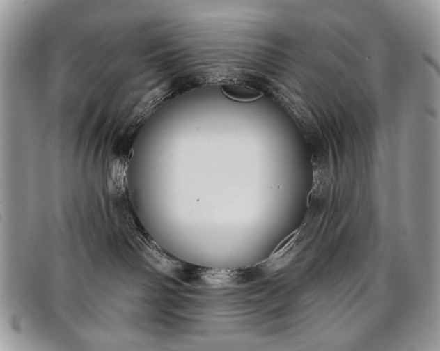 X0000098050142200804071517