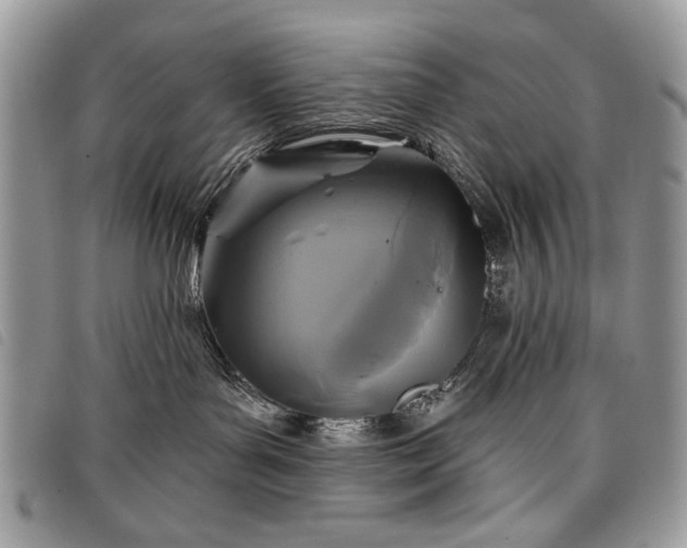 X0000098050143200804071517