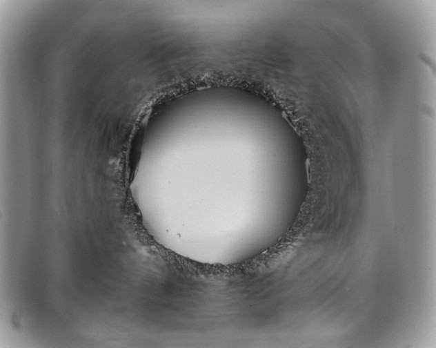 X0000098050144200804071517