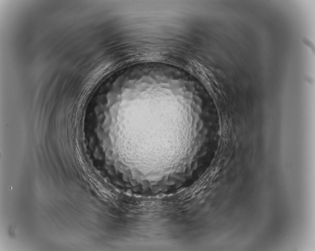 X0000098050145200804071516