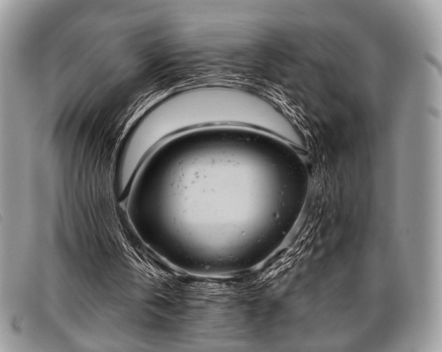 X0000098050146200804071516