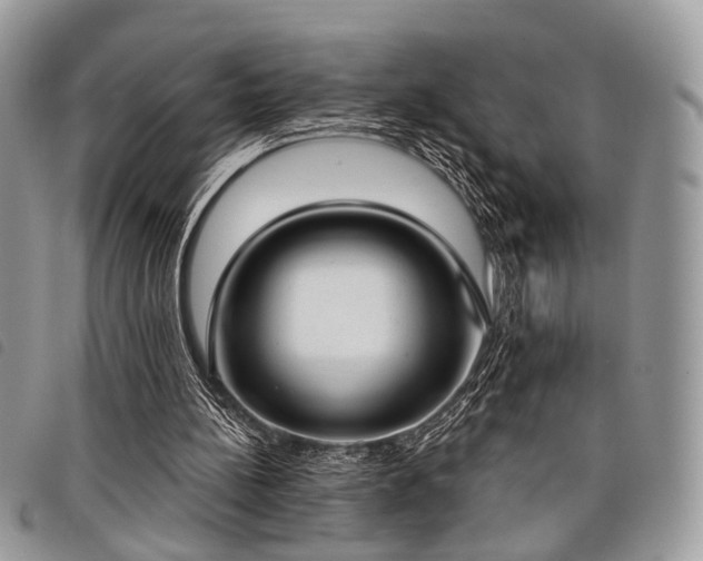 X0000098050148200804071516