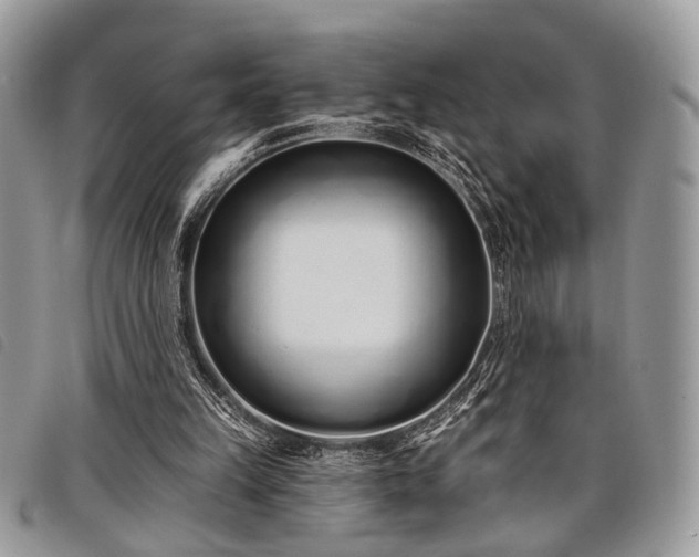 X0000098050149200804071516