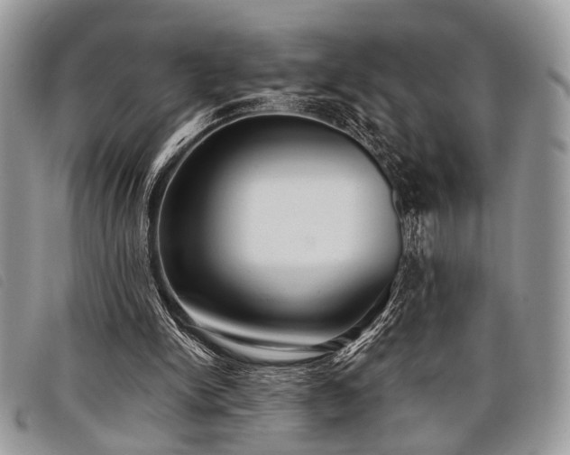 X0000098050150200804071516