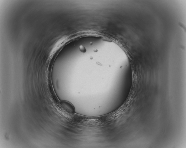 X0000098050151200804071516