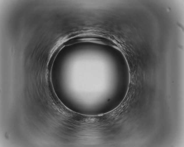 X0000098050152200804071516