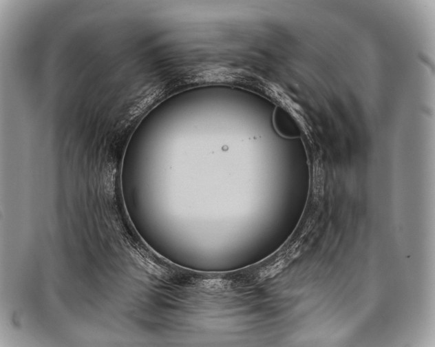 X0000098050153200804071516