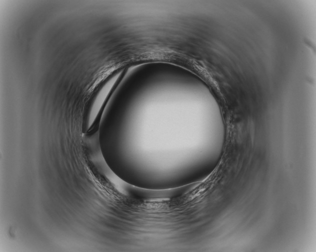 X0000098050154200804071516