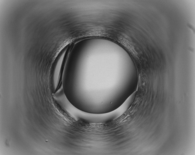 X0000098050156200804071516