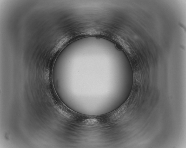 X0000098050159200804071516