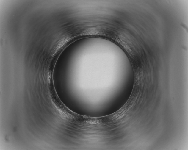 X0000098050160200804071516