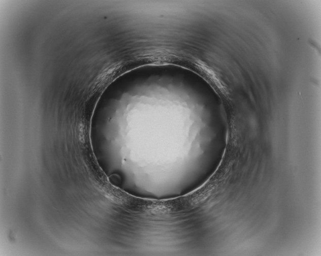 X0000098050161200804071516