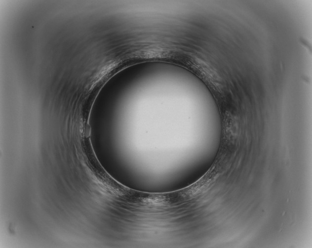 X0000098050164200804071516