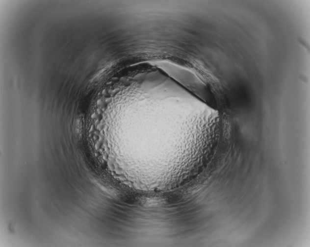 X0000098050165200804071516