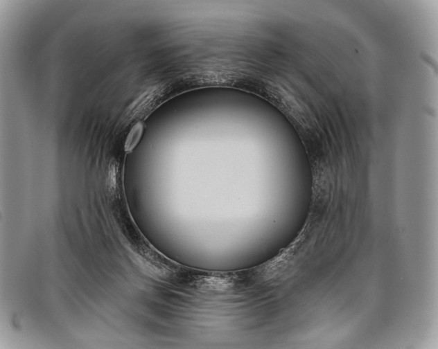 X0000098050166200804071516