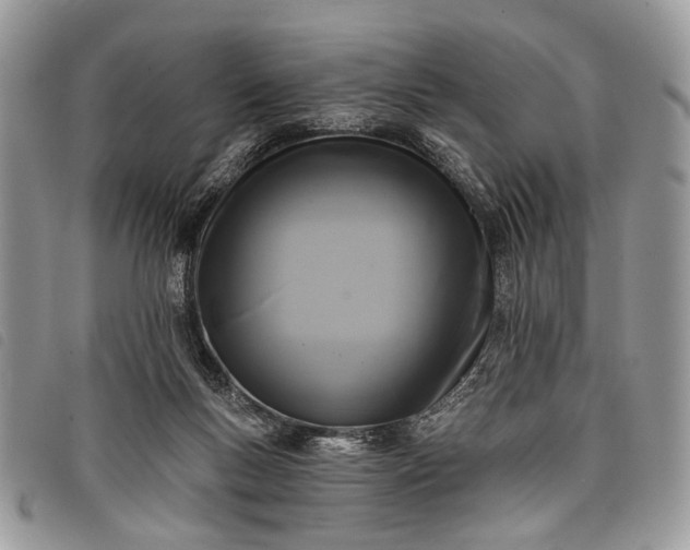 X0000098050167200804071516