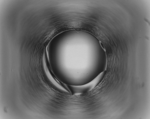 X0000098050168200804071516