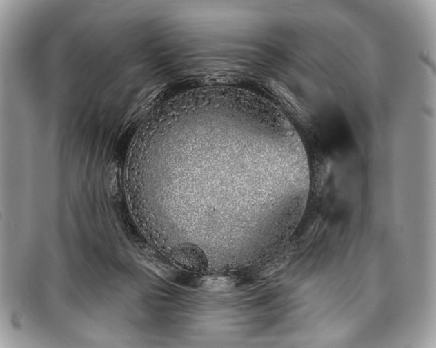 X0000098050169200804071516