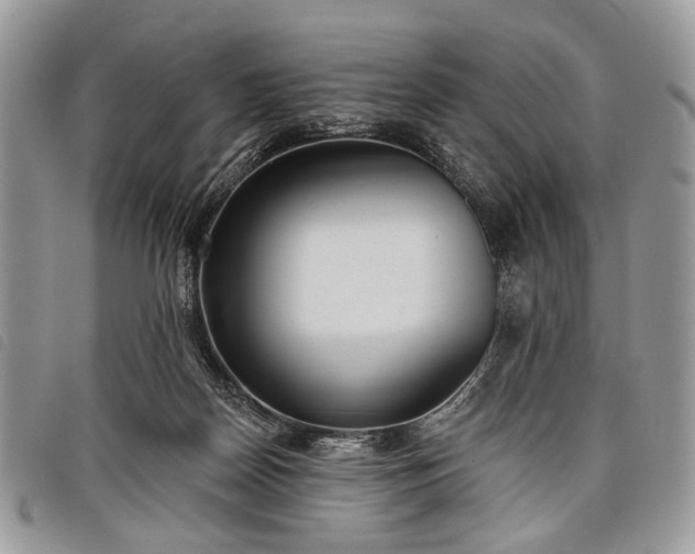 X0000098050170200804071517