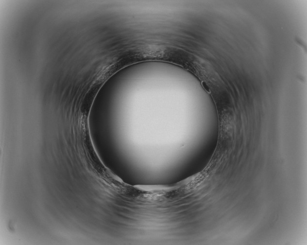 X0000098050172200804071517