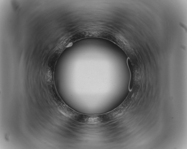 X0000098050173200804071517