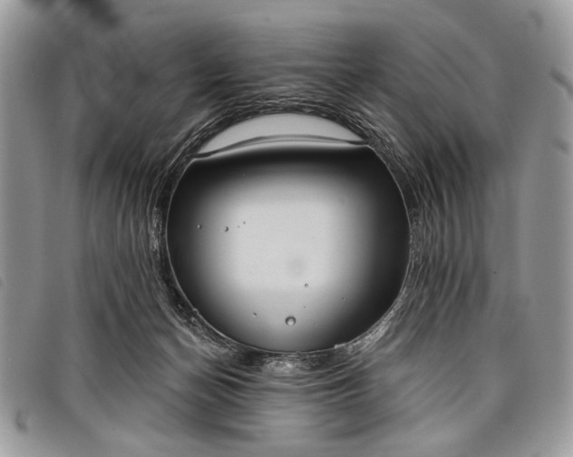 X0000098050174200804071517