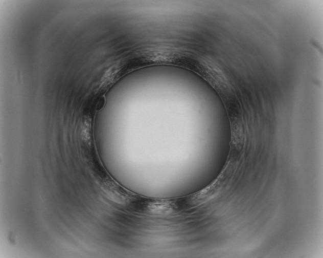 X0000098050175200804071517