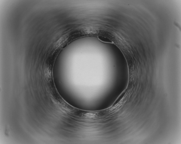 X0000098050176200804071517